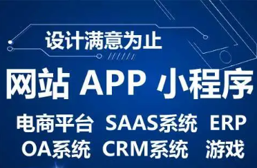 系统开发、系统软件、应用软件、网站开发
